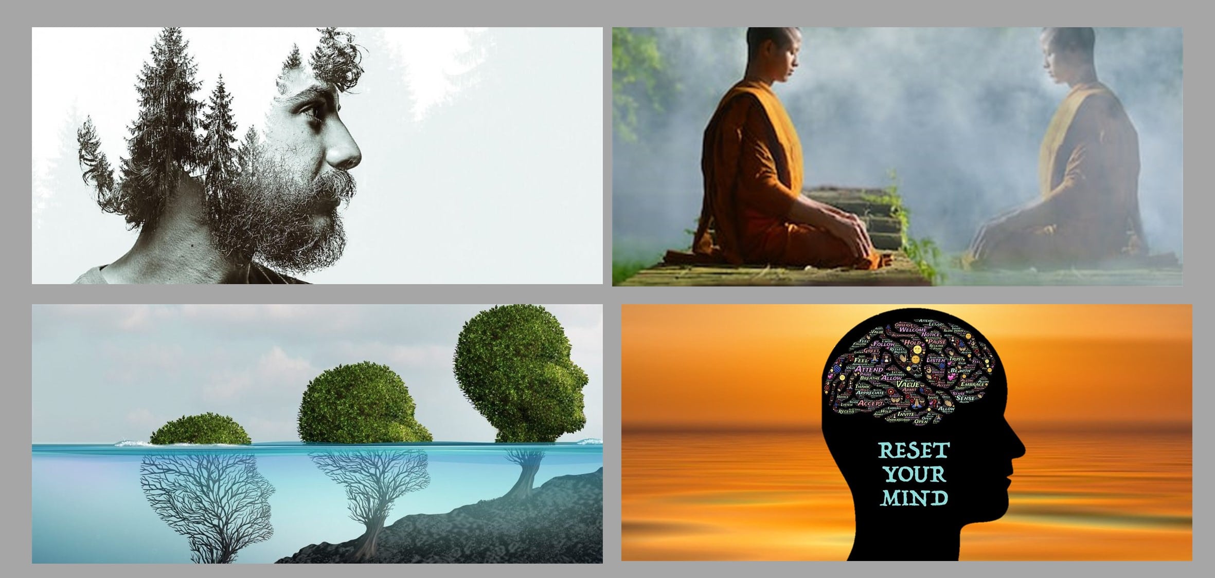 En este momento estás viendo Meditación, Mindfulness y Psicoterapia